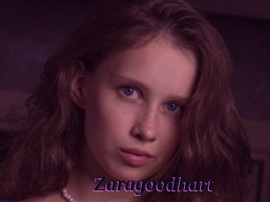 Zaragoodhart