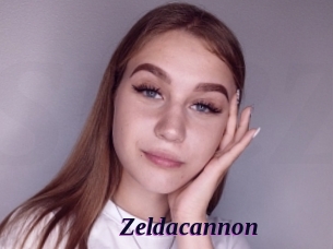 Zeldacannon