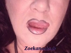 Zoekanaalsub